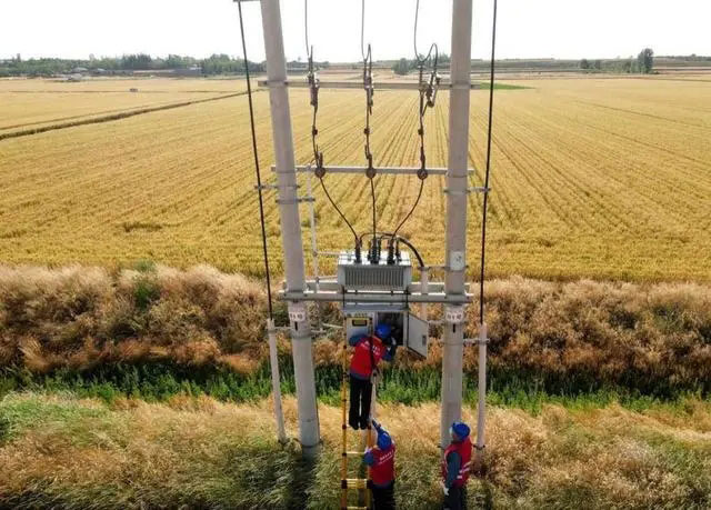 配電箱助力“電力?！报D農(nóng)民有了“電力?！碑a(chǎn)業(yè)發(fā)展質(zhì)效